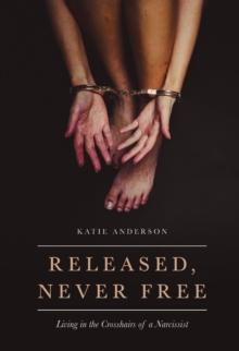 Released, Never Free : Living in the Crosshairs of a Narcissist