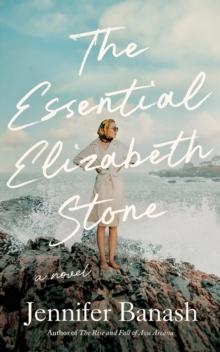 The Essential Elizabeth Stone : A Novel