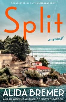 Split : A Novel