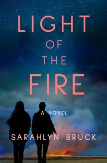 Light of the Fire : A Novel