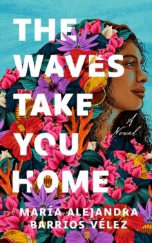 The Waves Take You Home : A Novel