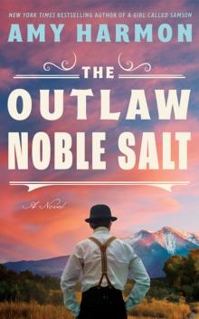 The Outlaw Noble Salt : A Novel