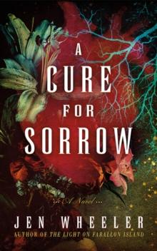 A Cure for Sorrow : A Novel