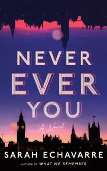 Never Ever You : A Novel