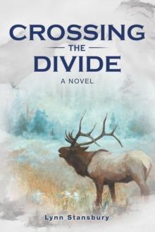 Crossing the Divide : A Novel