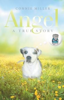 Angel : A True Story