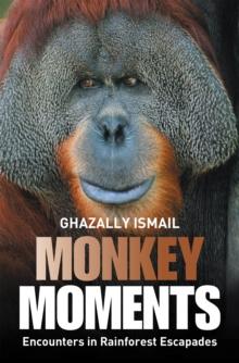 Monkey Moments : Encounters in Rainforest Escapades