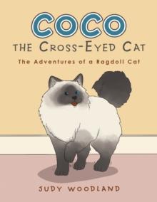 Coco the Cross-Eyed Cat : The Adventures of a Ragdoll Cat