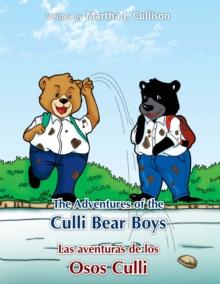 The Adventures of the Culli Bear Boys