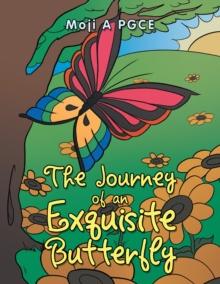 The Journey of an Exquisite Butterfly