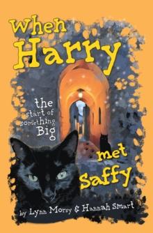 When Harry Met Saffy : The Start of Something Big