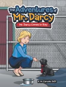 The Adventures of Mr. Darcy : Mr. Darcy Comes to Stay