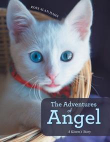 The Adventures of Angel : A Kitten's Story