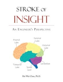 Stroke of Insight : An Engineer's Perspective