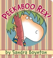 Peekaboo Rex!