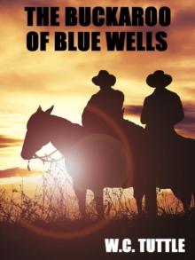 The Buckaroo of Blue Wells