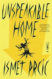 Unspeakable Home : A Novel