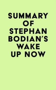 Summary of Stephan Bodian's Wake Up Now