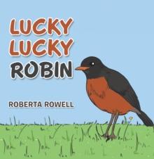 Lucky Lucky Robin