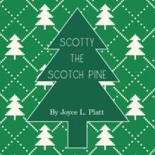 Scotty the Scotch Pine