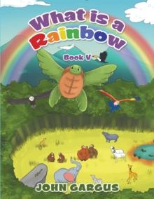 What Is a Rainbow : Book V