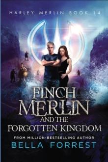 Finch Merlin and the Forgotten Kingdom