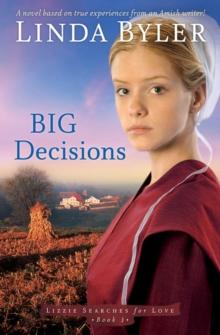 Big Decisions : A Novel Based On True Experiences From An Amish Writer!