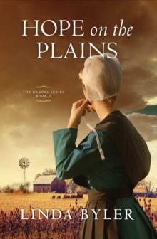 Hope on the Plains : The Dakota Series, Book 2