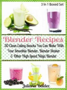 Blender Recipes: 30 Clean Eating Snacks : Smoothie Blender, Blender Shaker & Other High Speed Ninja Blender