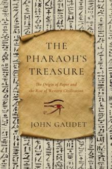 The Pharaoh's Treasure