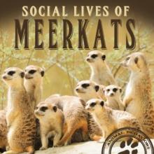 Social Lives of Meerkats