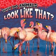 Why Do Animals Look Like That?