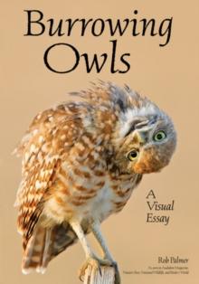 Burrowing Owls : A Visual Essay