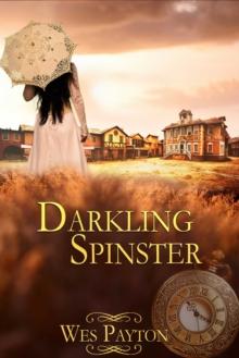 Darkling Spinster