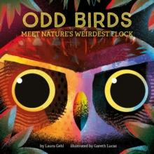 Odd Birds : Meet Nature's Weirdest Flock