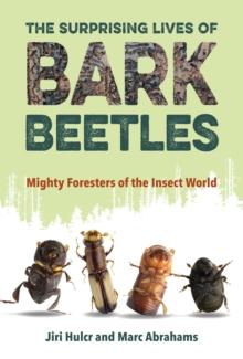 The Surprising Lives of Bark Beetles : Mighty Foresters of the Insect World