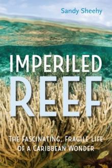 Imperiled Reef : The Fascinating, Fragile Life of a Caribbean Wonder