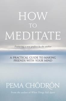 How to Meditate : A Practical Guide to Making Friends with Your Mind