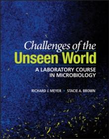 Challenges of the Unseen World : A Laboratory Course in Microbiology