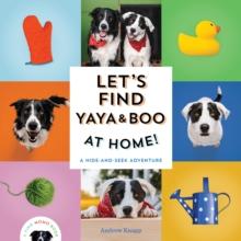 Let's Find Yaya and Boo at Home! : A Hide-and-Seek Adventure