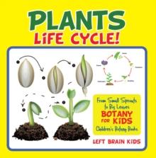 A Plant's Life Cycle! From Small Sprouts to Big Leaves - Botany for Kids - Children's Botany Books