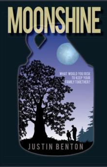 Moonshine