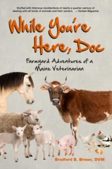 While You're Here, Doc : Farmyard Adventures of a Maine Veterinarian