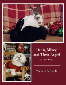 Darla, Mikey, and Their Angel : A True Story