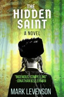 The Hidden Saint : A Novel