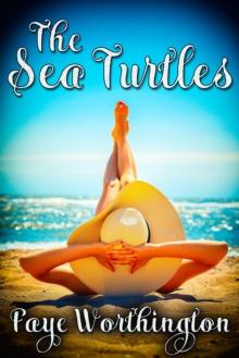 The Sea Turtles