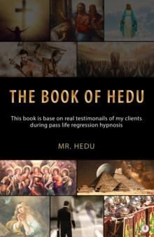 The Book Of Hedu : Insights from Past Life Regressions A Study of 17 Clients Journeys into Their Past Lives