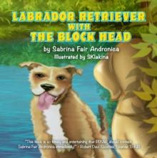 Labrador Retriever With The Block Head