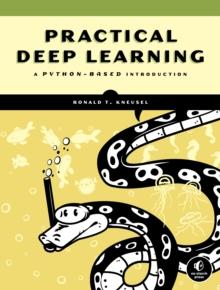 Practical Deep Learning : A Python-Based Introduction