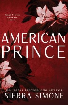 American Prince : A Steamy and Taboo BookTok Sensation